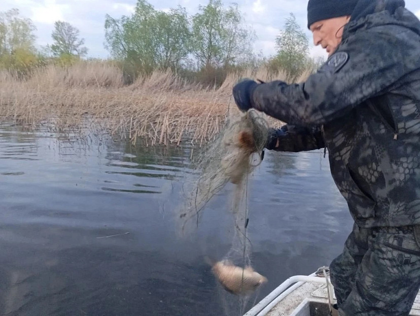 Более ста рыбаков-браконьеров поймали у саратовских водоёмов в период нерестового запрета